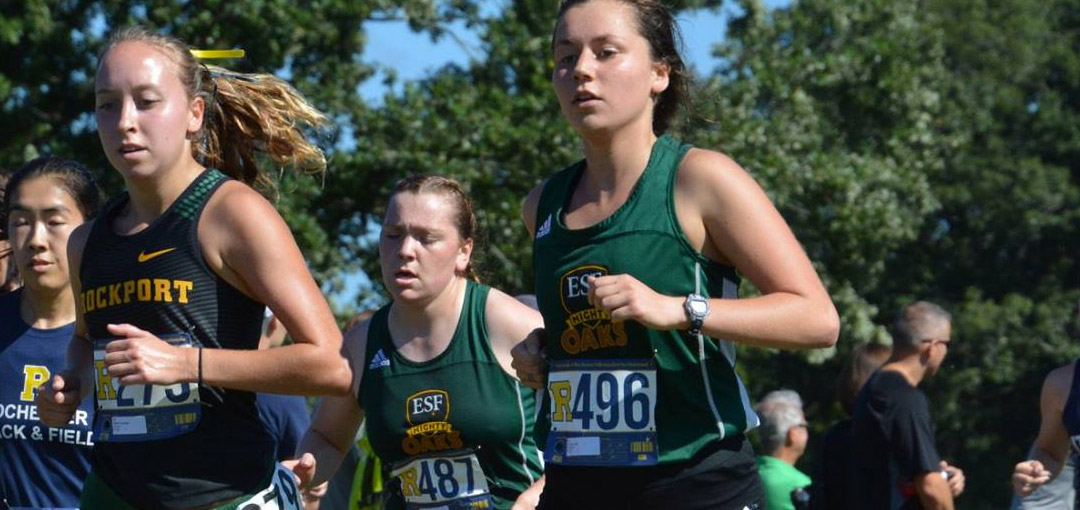 Cross Country Teams Finish Strong at Yellowjacket Invitational